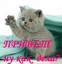 Аватара пользователя