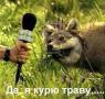 Аватара пользователя